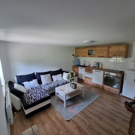Casa Primitoare In Inima Naturii Si Padurii Rasca  エクステリア 写真