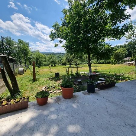 Casa Primitoare In Inima Naturii Si Padurii Rasca  エクステリア 写真