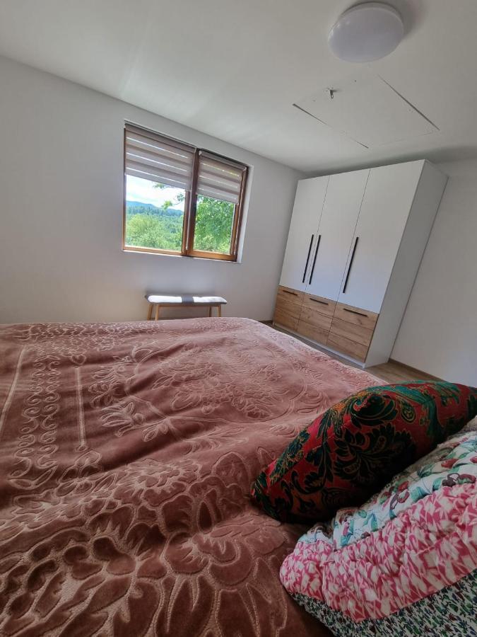 Casa Primitoare In Inima Naturii Si Padurii Rasca  エクステリア 写真