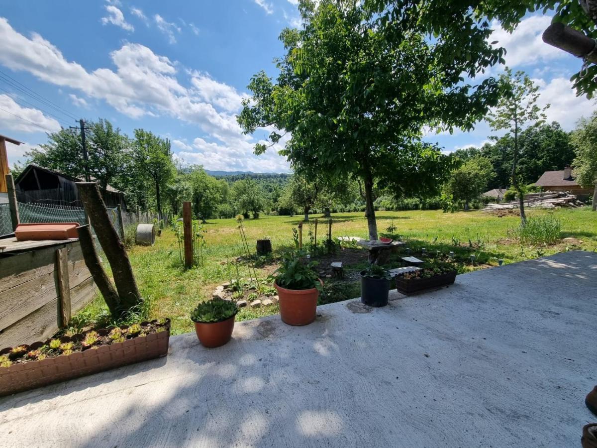 Casa Primitoare In Inima Naturii Si Padurii Rasca  エクステリア 写真