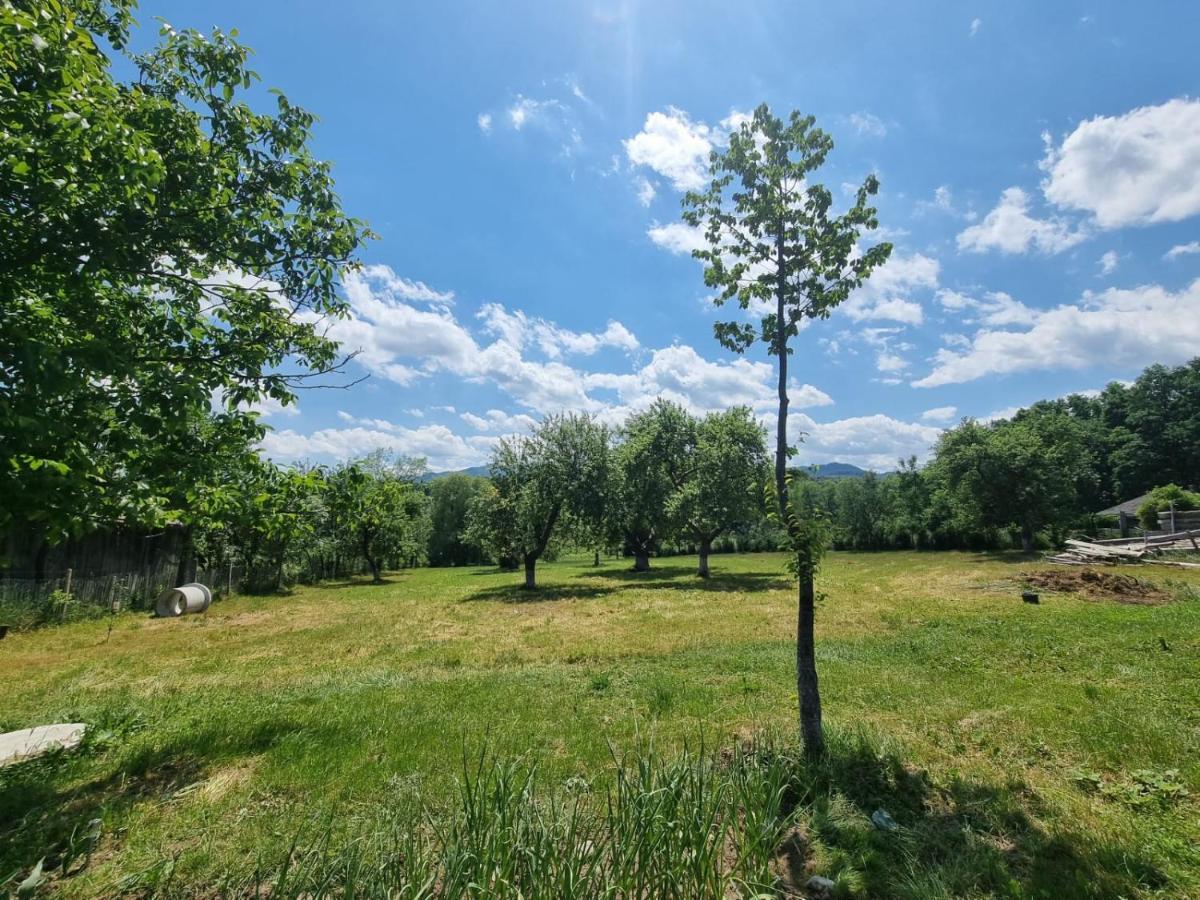 Casa Primitoare In Inima Naturii Si Padurii Rasca  エクステリア 写真